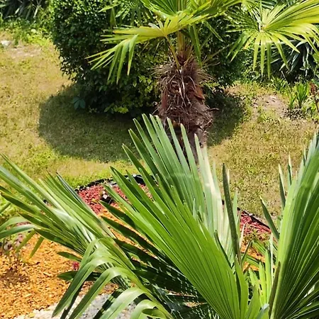 Pecani Perla Del Mar - Coastal Art Residence, Marina Dinevi Etara 1 Свети Влас