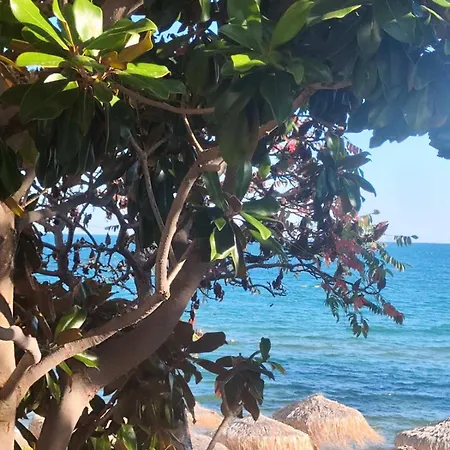 Pecani Perla Del Mar - Coastal Art Residence, Marina Dinevi Etara 1 * Свети Влас