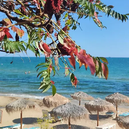 Апартамент Pecani Perla Del Mar - Coastal Art Residence, Marina Dinevi Etara 1 Свети Влас