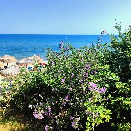 Pecani Perla Del Mar - Coastal Art 아파트