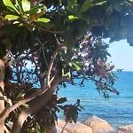Pecani Perla Del Mar - Coastal Art * Свети Влас