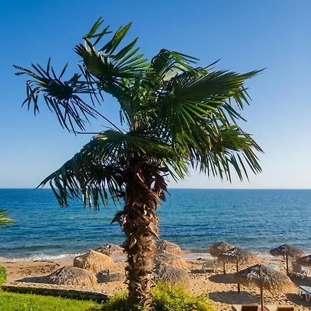 Apartman Pecani Perla Del Mar - Coastal Art Residence, Marina Dinevi Etara 1